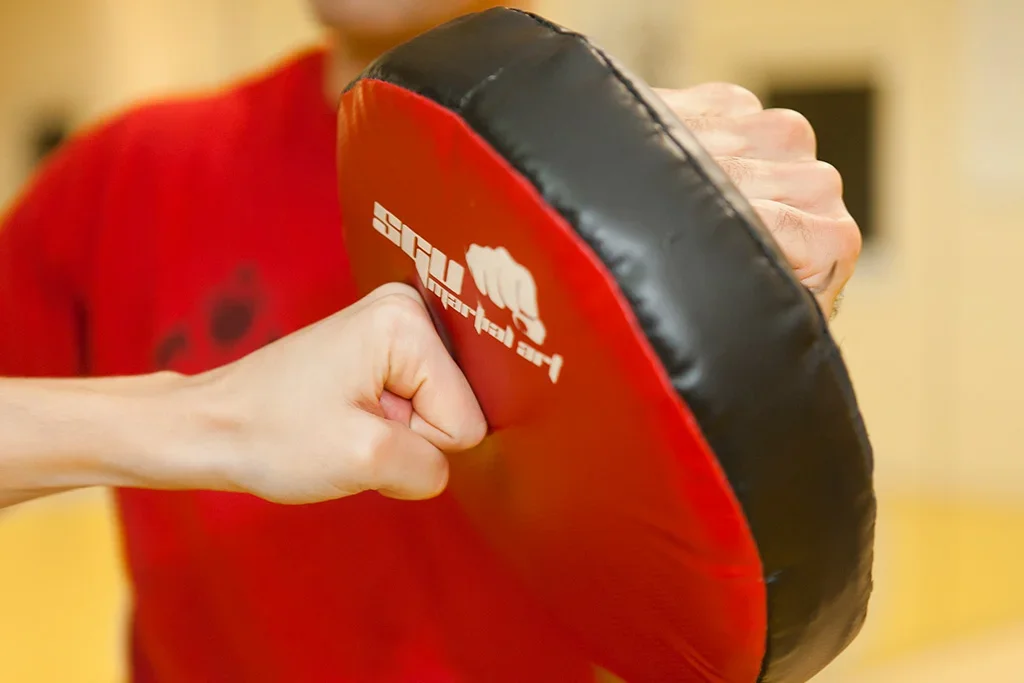 Karriere @ SGU Wing Tsun Kampfkunstschulen