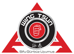 Logo SGU Wing Tsun Kampfkunstschulen
